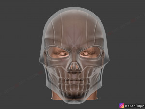 black mask - dc comics cosplay 3d print model Model do druku 3D