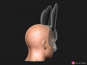 the huntress mask from dead by daylight - the rabbit mask for halloween cosplay Modelo de Impressão 3D