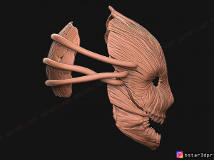 the trapper mask from dead by daylight - the horror mask 3d print model 3D 打印模型