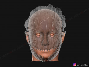 the trapper mask from dead by daylight - the horror mask 3d print model 3D 打印模型