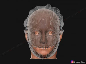 the trapper mask from dead by daylight - the horror mask 3d print model 3D Print Model