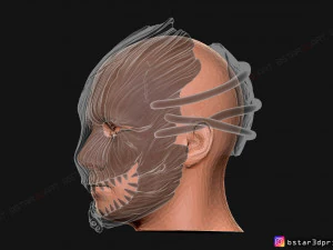the trapper mask from dead by daylight - the horror mask 3d print model 3D Print Model