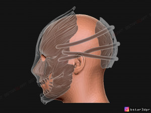the trapper mask from dead by daylight - the horror mask 3d print model 3D 打印模型