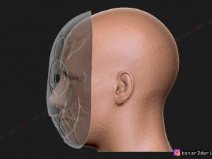 the legion frank mask - dead by daylight - the horror mask 3d print model Modelo de Impressão 3D