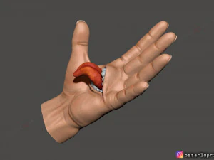 Ręka Yuji Itadori - usta Sukuna - jujutsu kaisen wystr&oacute;j cosplay Model wydruku 3D Model do druku 3D
