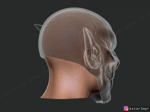 morbius mask - marvel comics - darcula halloween cosplay 3d print model Model do druku 3D