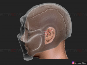 iowa sid wilson mask - slipknot mask - halloween cosplay - 3d print model 3D Print Model