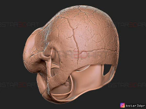 scarlet spider bust - spider man - marvel comics high quality 3d print model 3D Print Model