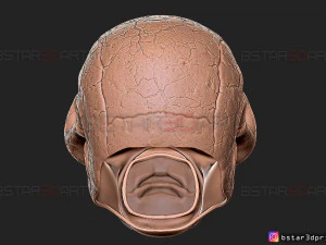 scarlet spider bust - spider man - marvel comics high quality 3d print model 3D Print Model