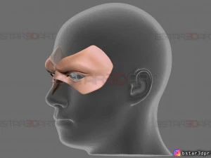 robin face mask - titans season 3 - dc comics cosplay 3d print model 3D Print Model