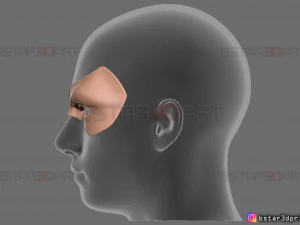 robin face mask - titans season 3 - dc comics cosplay 3d print model 3D Print Model