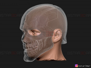 captain zombie helmet - marvel what if - high quality details 3d print model 3D Print Model