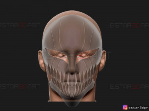 hollow mask - kurosaki ichigo - bleach 3d print model 3Dプリントモデル