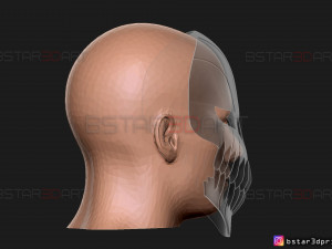 hollow mask - kurosaki ichigo - bleach 3d print model 3Dプリントモデル