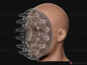 tooth mask - horror mask - scary mask - halloween cosplay mask 3d print model 3D Print Model