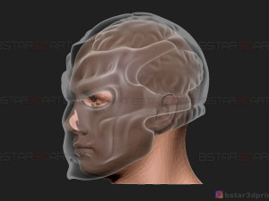 jason voorhees mask - friday 13th movie - horror halloween mask 3d print model 3D-Druckmodell