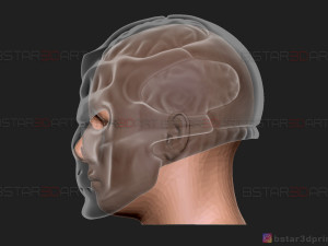 jason voorhees mask - friday 13th movie - horror halloween mask 3d print model 3D-Druckmodell