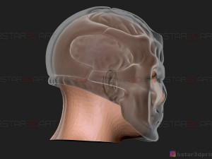 jason voorhees mask - friday 13th movie - horror halloween mask 3d print model 3D-Druckmodell