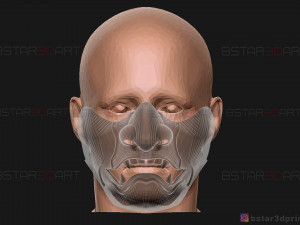 ghost of tsushima - the sakai mask - samurai cosplay mask 3D 打印模型