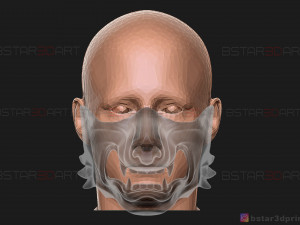 ghost of tsushima - wolf mask - samurai cosplay mask 3d print model Modelo de Impressão 3D