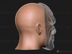 dallas mask - payday 2 mask - halloween cosplay mask 3d print model 3D Print Model