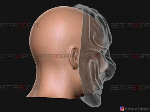 hoxton mask - payday 2 mask - halloween cosplay mask 3d print model 3D Print Model