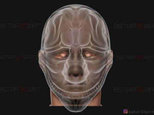 hoxton mask - payday 2 mask - halloween cosplay mask 3d print model Modelo de impresión 3D