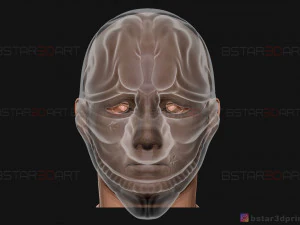 hoxton mask - payday 2 mask - halloween cosplay mask 3d print model 3D Print Model