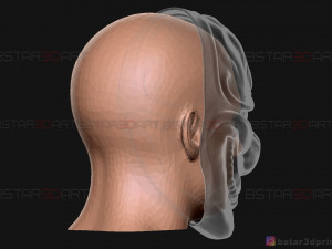 hoxton mask - payday 2 mask - halloween cosplay mask 3d print model Modelo de impresión 3D