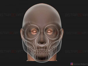 wolf mask - payday 2 mask - halloween cosplay mask 3d print model 3D Print Model