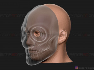 wolf mask - payday 2 mask - halloween cosplay mask 3d print model Modèles 3D en vedette