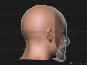 wolf mask - payday 2 mask - halloween cosplay mask 3d print model Modèles 3D en vedette
