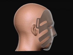 the waiter no29 mask - squid game mask 3d print model 3D-printmodel