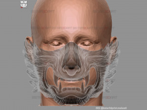 wolf face mask - high quality details 3d print model Model do druku 3D