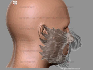 wolf face mask - high quality details 3d print model 3D Print Model