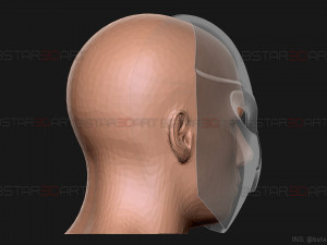 court of owls mask - bat man gotham knights Model do druku 3D