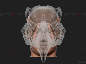 The KhonShu Mask - Moon Knight Marvel 3D print model 3D Print Model