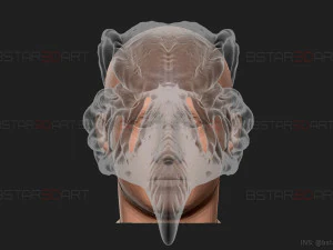 The KhonShu Mask - Moon Knight Marvel 3D print model 3D Print Model