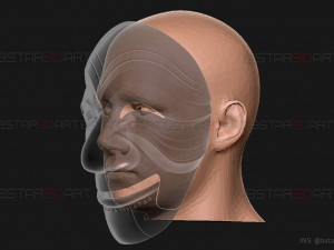 Money Heist Mask - Korea - Joint Economic Area 3D print model Modelo de impresión 3D