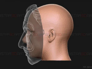Money Heist Mask - Mixed Version Korea and Spainish 3D Print Model