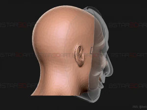 Money Heist Mask - Mixed Version Korea and Spainish 3D Print Model