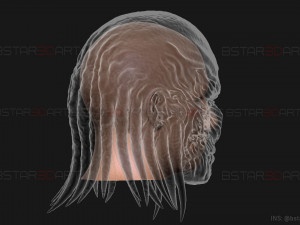 Vecna Mask - Stranger Things Cosplay Modelo de Impressão 3D