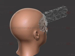 Aki Devil Mask - Chainsawman Cosplay 3D Print Model