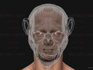 King Monkey Mask - Kingdom of The Planet of The Apes 3D-Druckmodell