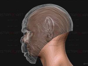 King Monkey Mask - Kingdom of The Planet of The Apes 3D-Druckmodell