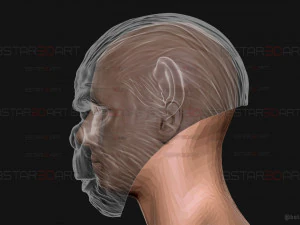 King Monkey Mask - Kingdom of The Planet of The Apes 3D Print Model