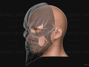 Ainz Ooal Gown Mask - OverLord Cosplay 3D Print Model