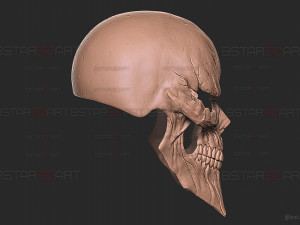 Ainz Ooal Gown Mask - OverLord Cosplay 3Dプリントモデル