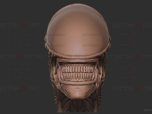 Alien Xenomorph Mask Decor Wearable 3D 打印模型