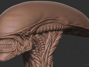 Alien Xenomorph Mask Decor Wearable 3D Print Model